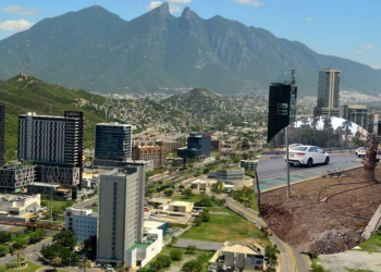 Municipio Restaura 45 Árboles En Corredor Aramberri