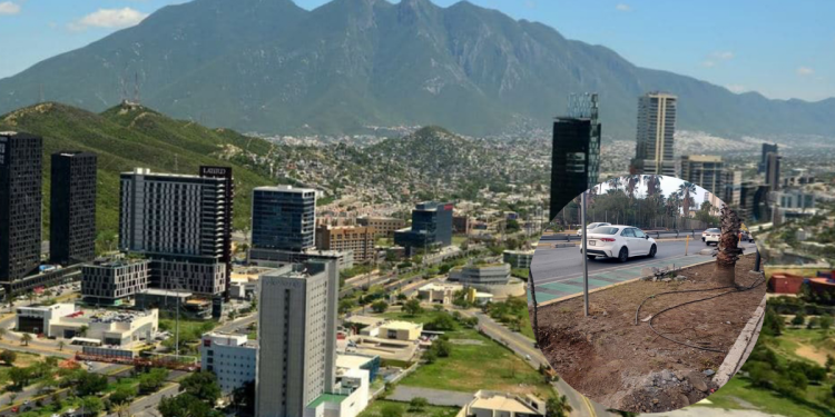 Municipio Restaura 45 Árboles En Corredor Aramberri