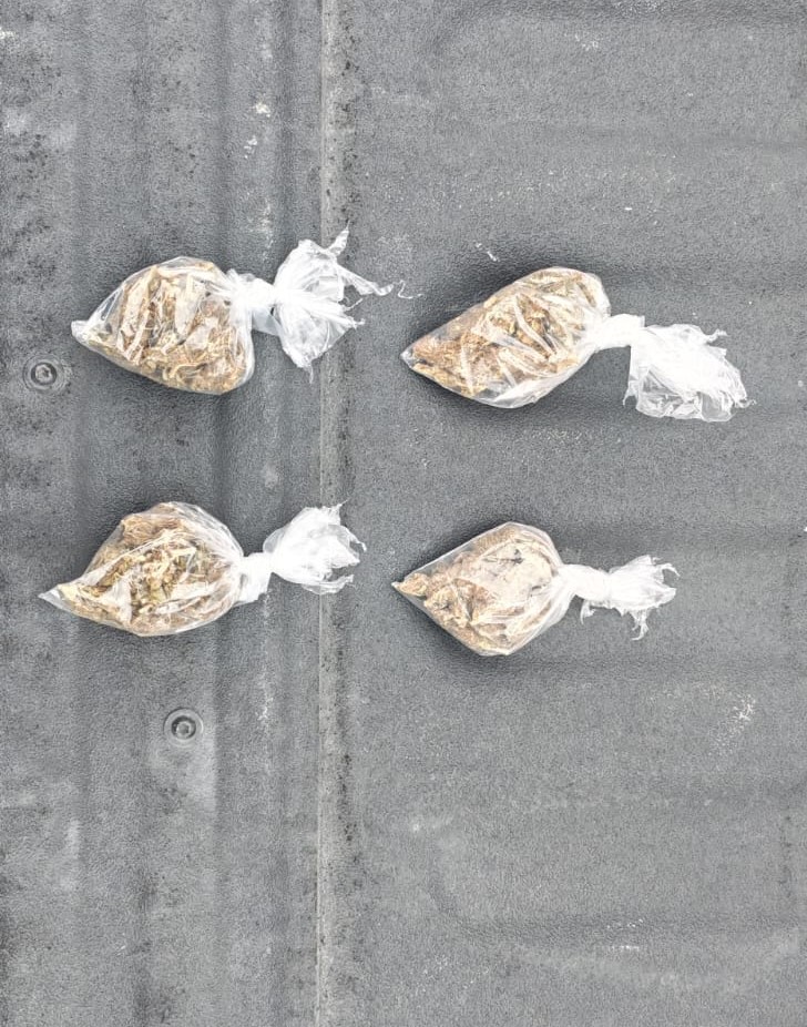 robo-de-laptops-policía-de-monterrey-mitras-sur