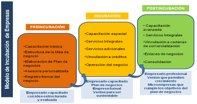 Centro-de-Innovación-y-Emprendimiento-incorporación-al-mercado-empresas-locales-modelo-de-apoyo