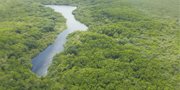 Semarnat-Quintana-Roo-SEMA-daño-ambiental