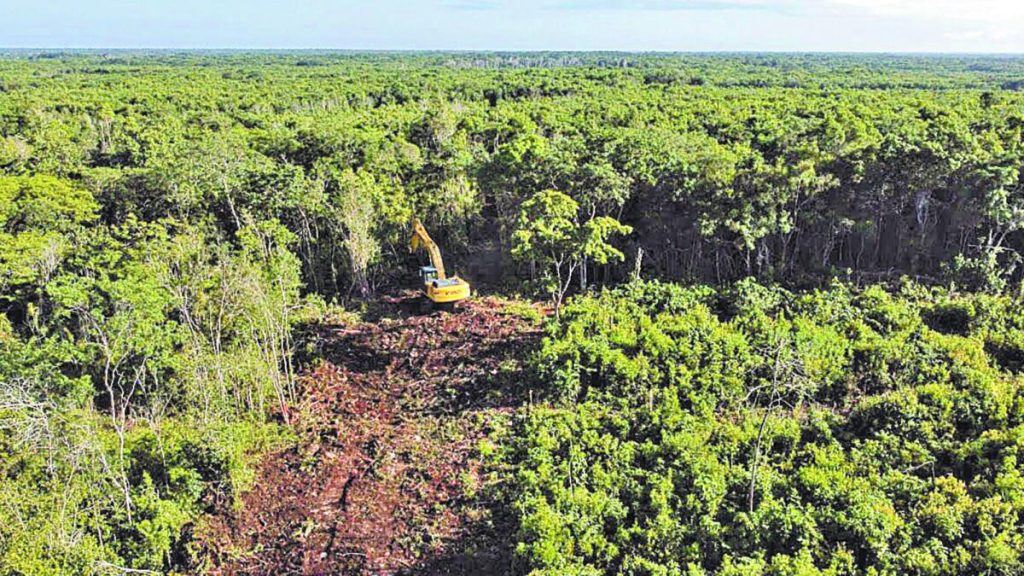 Semarnat-Quintana-Roo-SEMA-daño-ambiental
