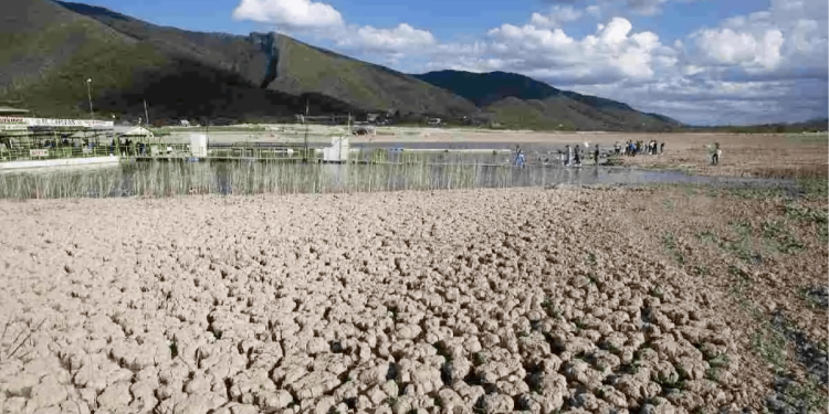 preocupan los municipios con riesgo de sequía en nuevo león