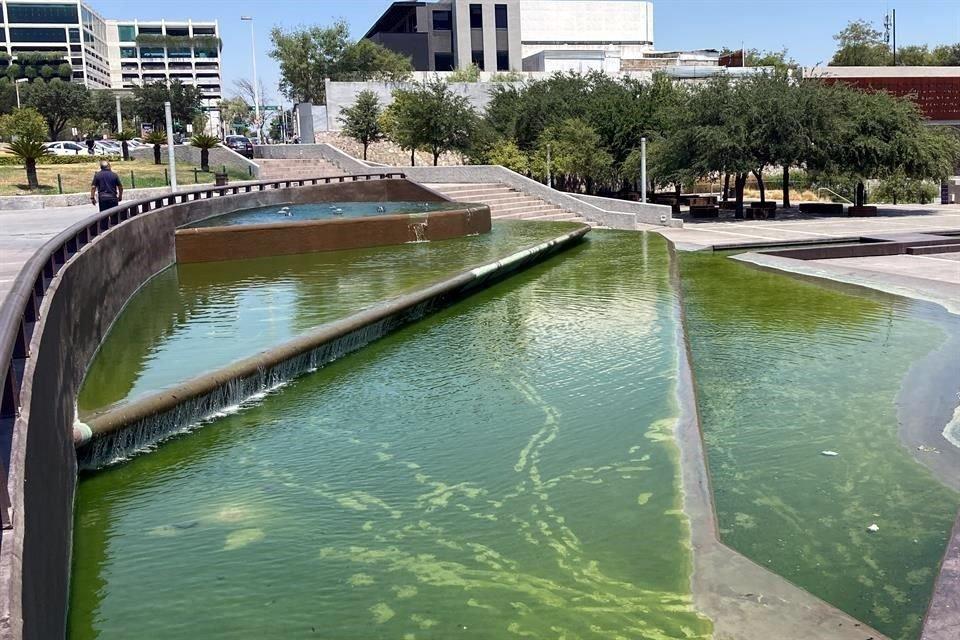 Paseo Santa Lucía en Monterrey se ve sucio, con aguas verdes y turbias