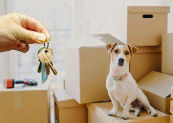 pet friendly el observador