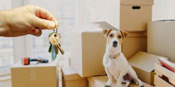 pet friendly el observador